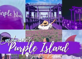 HÀN QUỐC - MIỄN THỊ THỰC